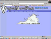 Virginia Music Flash